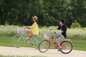 Zasady obowiązujące rowerzystę na drodze