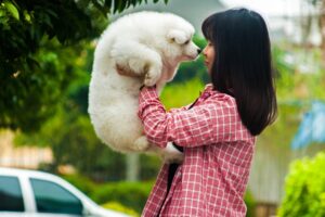 Pozostawienie kota lub psa pod opiekę w Petsitters = pozostawienie w dobrych rękach