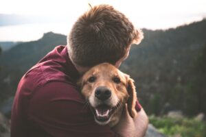 Suche karmy dla psów – która najlepsza?